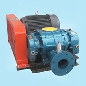 AAR100羅茨鼓風機